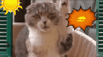 animali parlanti gatto buongiorno